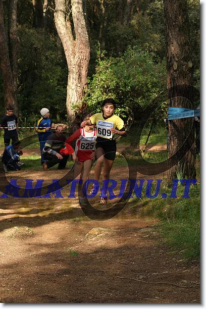Foto successiva