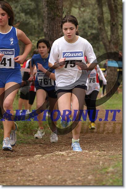Foto successiva