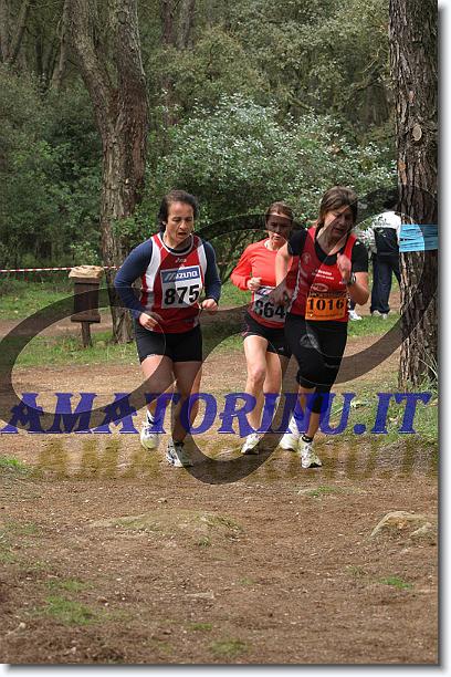 Foto successiva