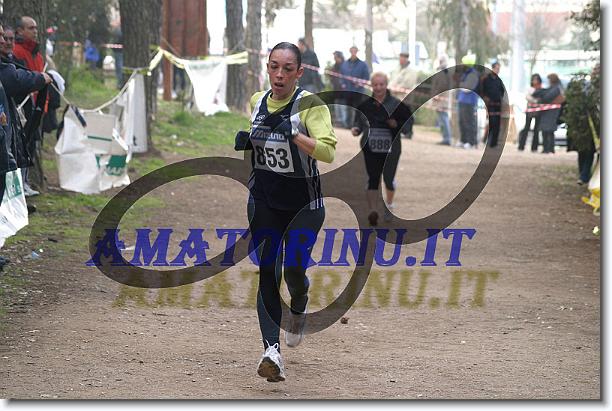 Foto successiva