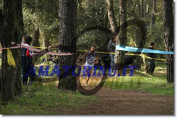 Foto successiva