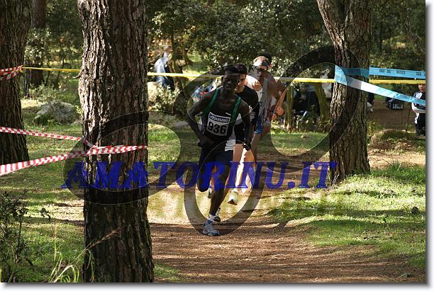 Foto successiva