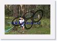 DiGsp07_0241 * 800 x 533 * (269KB)