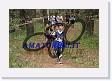 DiGsp07_0365 * 800 x 533 * (226KB)