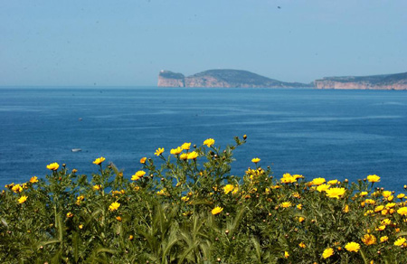 AlgheroMarathon2005_panorama